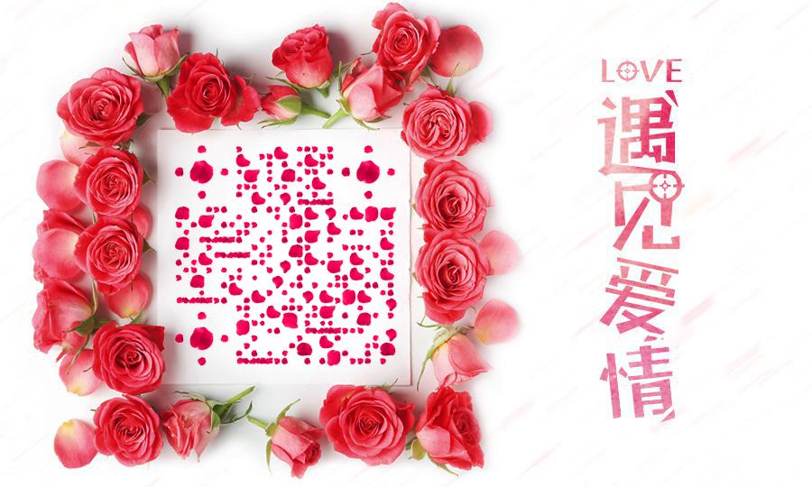 遇见爱情情人节平铺粉色玫瑰花瓣二维码生成器-平面静态-公众号图