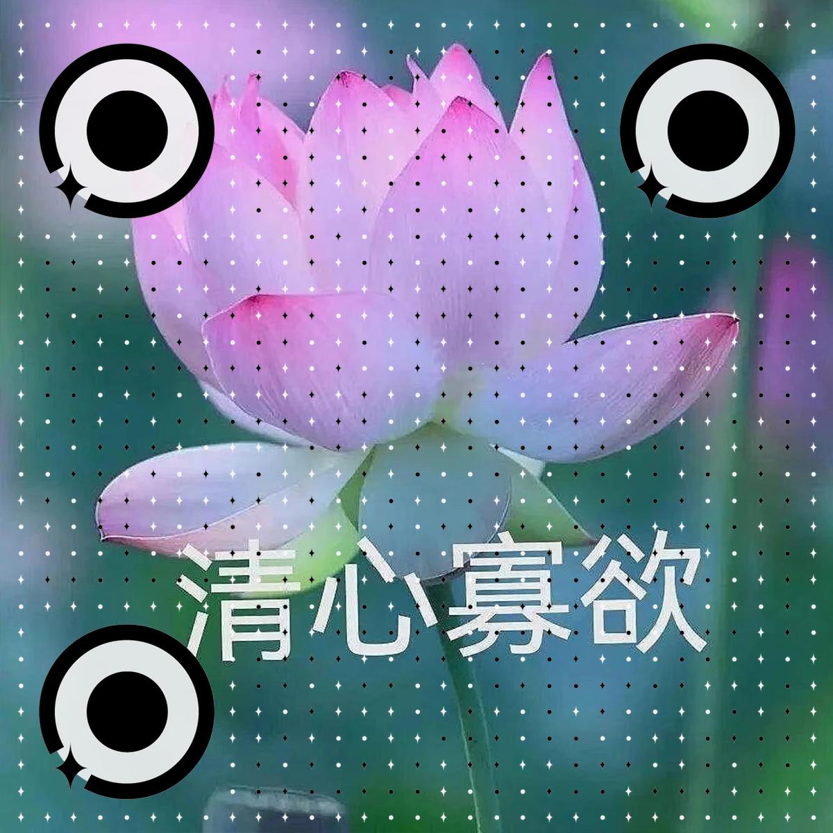 清心寡欲表情包心如止水莲头像模板二维码生成器-平面静态-正方形码