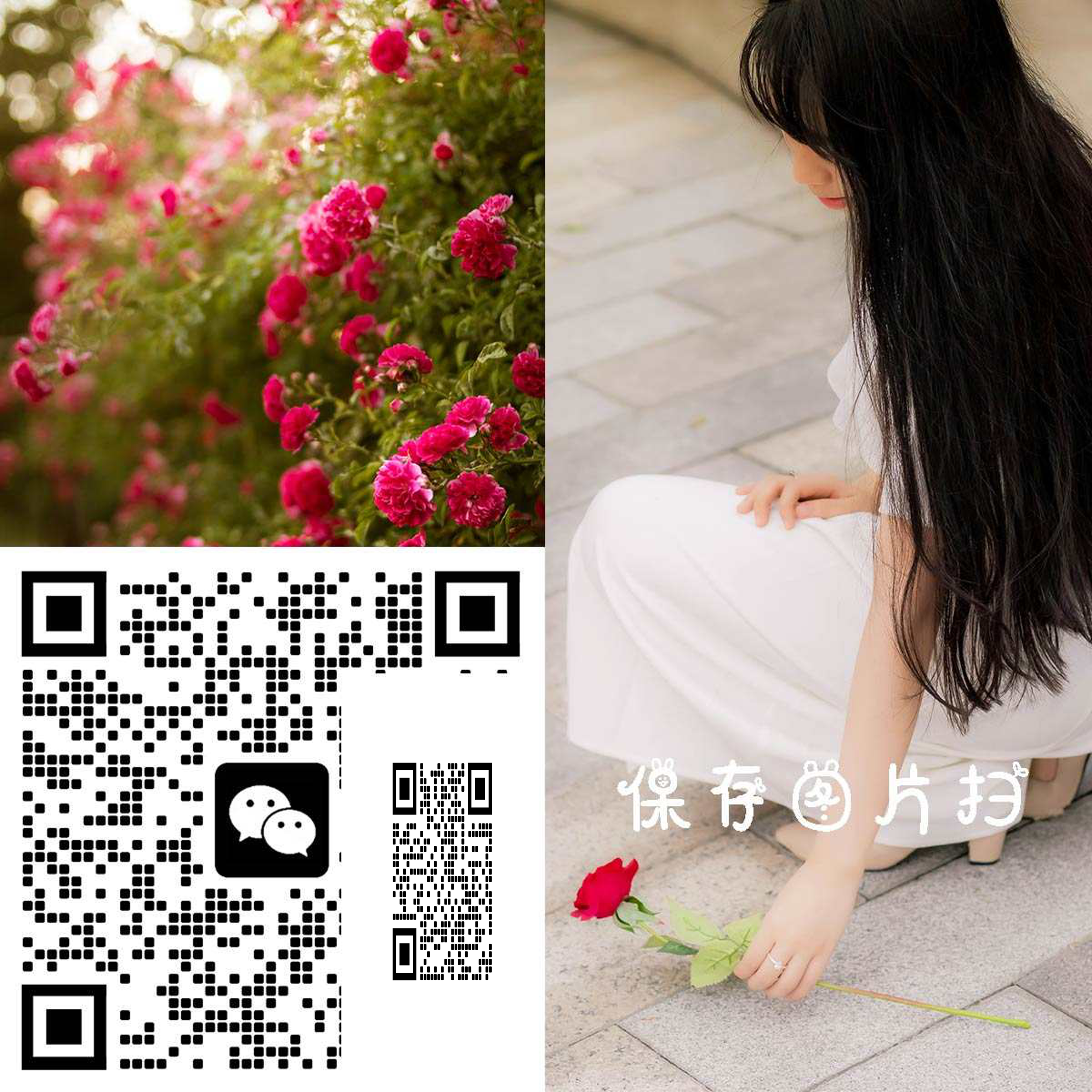 社交通用头像玫瑰女孩二维码生成器-平面静态-正方形码