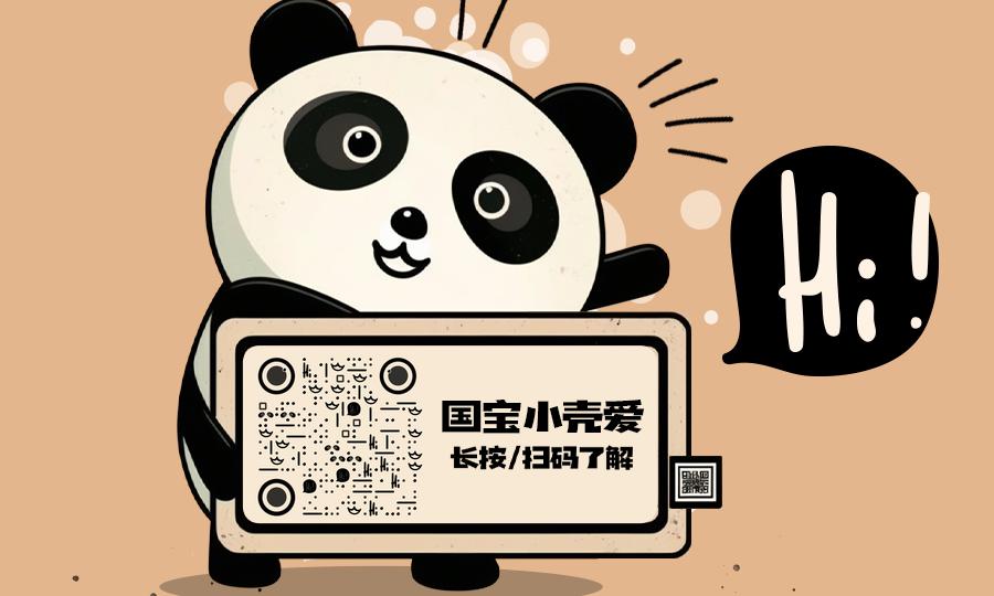 卡通抱抱熊猫名片创意社交神器名片扫码加好友二维码生成器-平面静态-公众号图