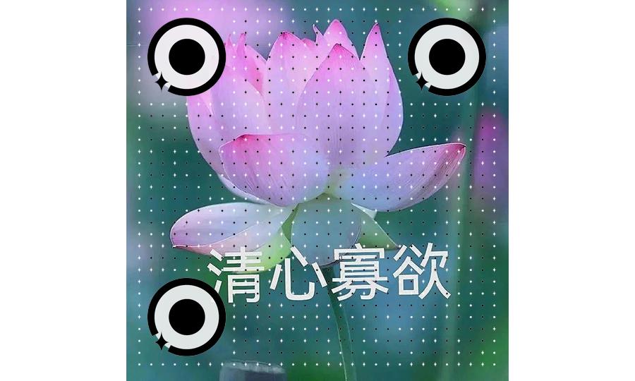 清心寡欲表情包心如止水莲头像模板二维码生成器-平面静态-公众号图