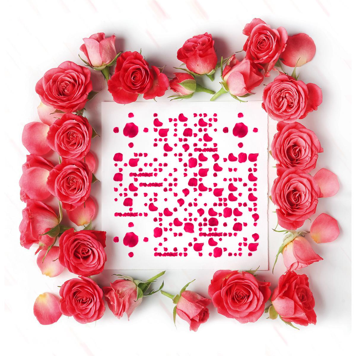 遇见爱情情人节平铺粉色玫瑰花瓣二维码生成器-平面静态-正方形码